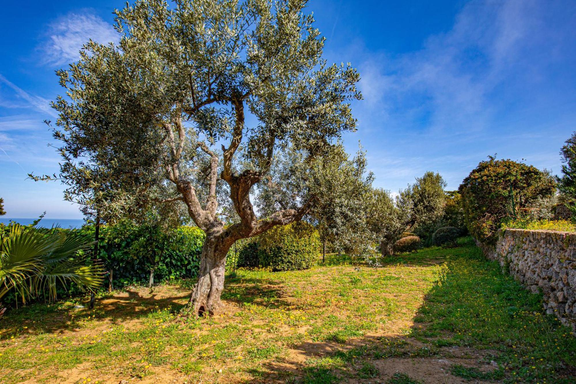 פורטו סנטו סטפנו Il Cottage Di Villa Sveva, Splendida Vista Mare מראה חיצוני תמונה